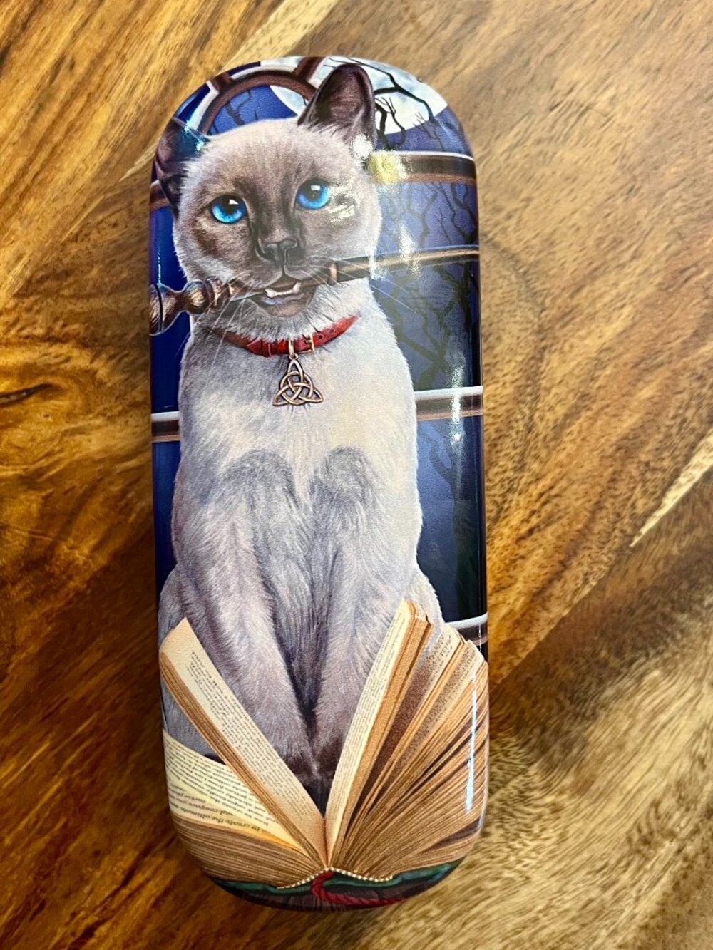 Eyeglass Case w/Cat by Lisa Parker